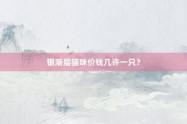 银渐层猫咪价钱几许一只？