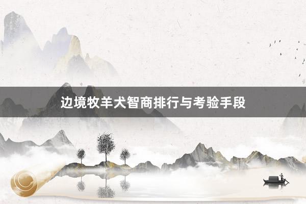 边境牧羊犬智商排行与考验手段