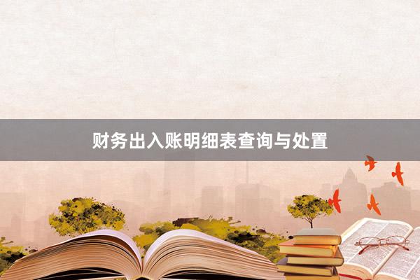 财务出入账明细表查询与处置